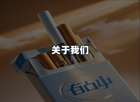 关于我们